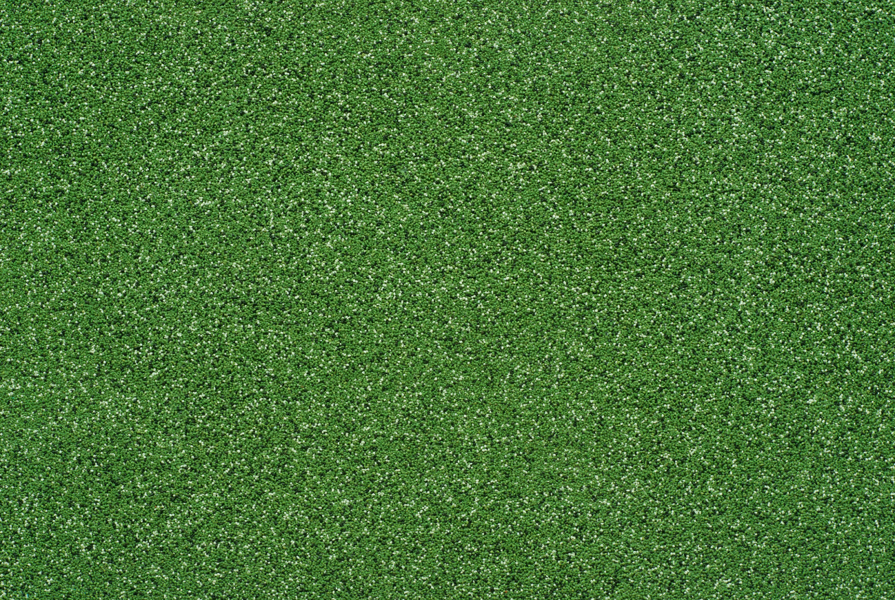 tynk mozaikowy zielony